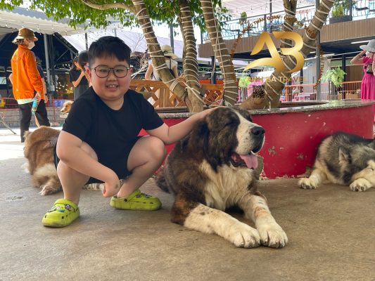 Trang Trại Cún Puppy Farm Cùng Anh Ba Travel 