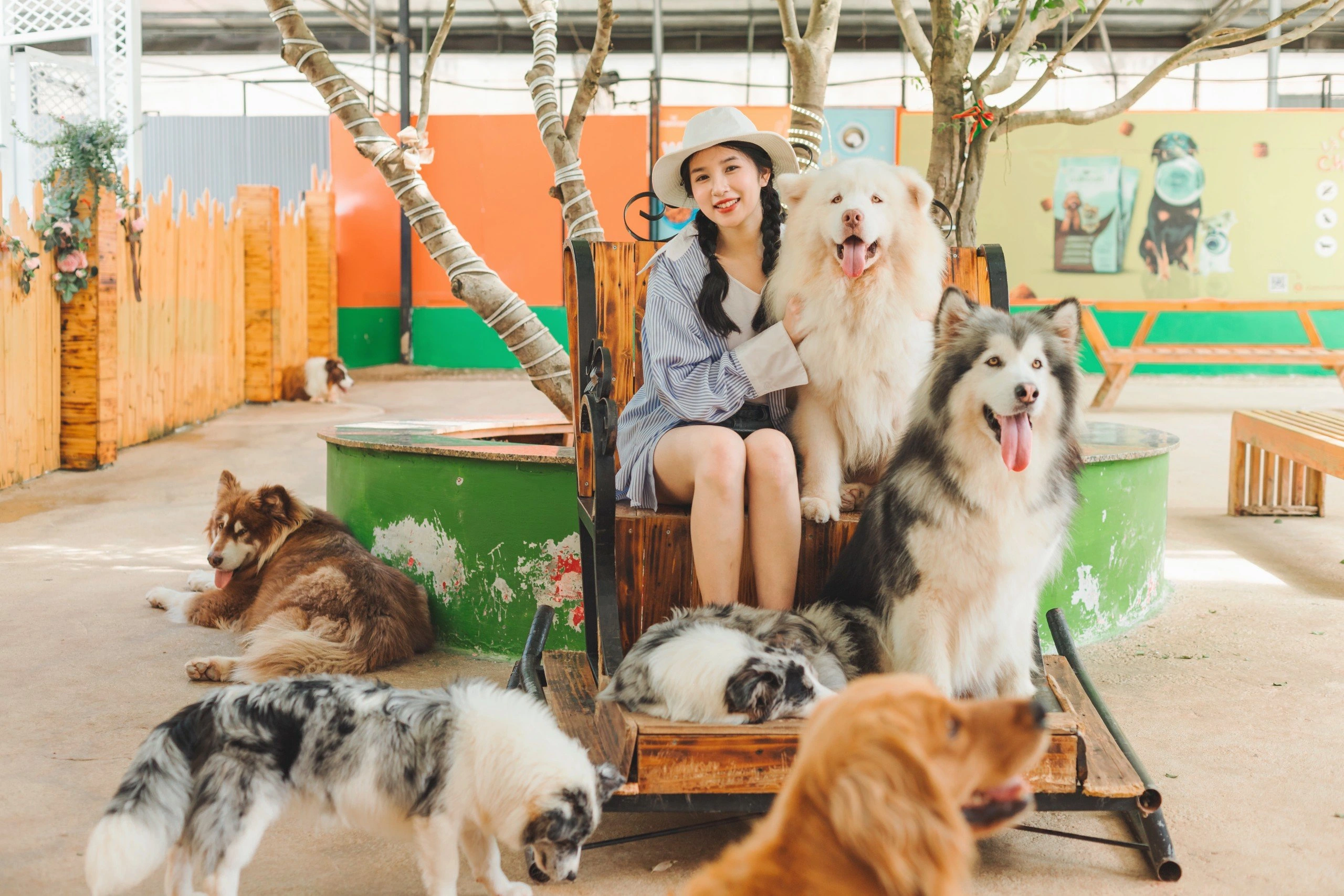 Puppy Farm Puppy Farm